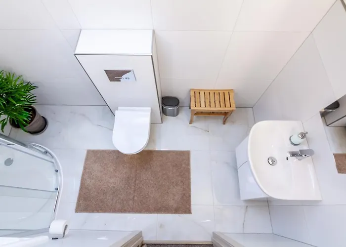 Family Forest House, By Cohost * Паланга