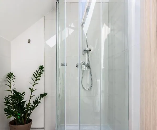 Family Forest House, By Cohost