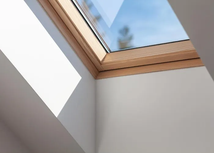 Family Forest House, By Cohost * Паланга